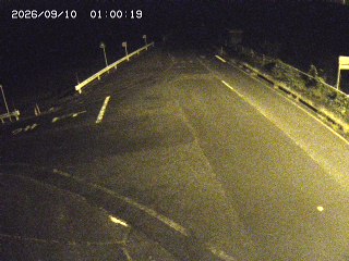 琴浦町三本杉