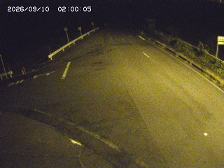 琴浦町三本杉