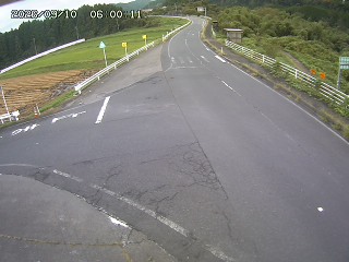 琴浦町三本杉