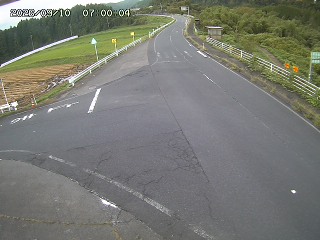 琴浦町三本杉