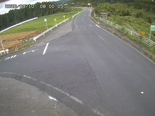 琴浦町三本杉