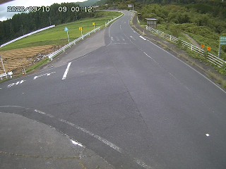 琴浦町三本杉