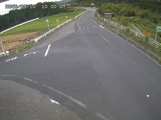 琴浦町三本杉