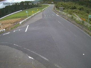 琴浦町三本杉