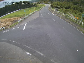 琴浦町三本杉