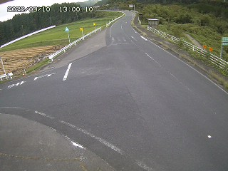 琴浦町三本杉