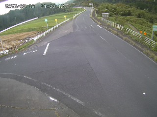 琴浦町三本杉