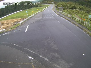 琴浦町三本杉