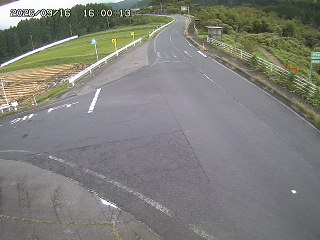 琴浦町三本杉