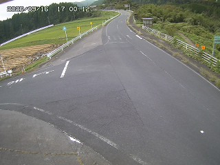 琴浦町三本杉