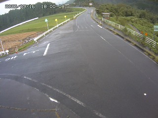 琴浦町三本杉