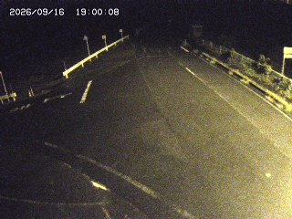 琴浦町三本杉