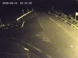琴浦町三本杉