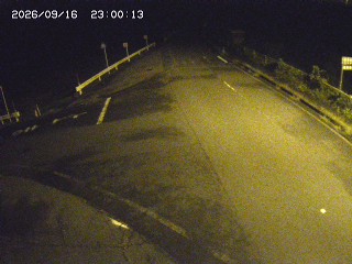 琴浦町三本杉
