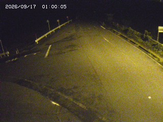 琴浦町三本杉