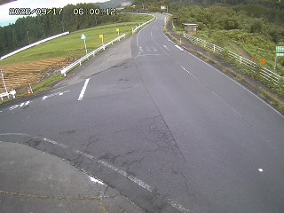 琴浦町三本杉