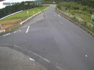 琴浦町三本杉