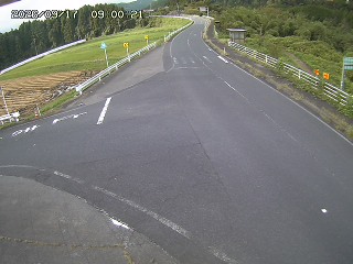 琴浦町三本杉