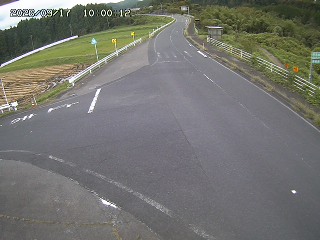 琴浦町三本杉