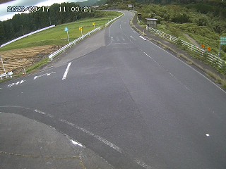 琴浦町三本杉