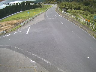 琴浦町三本杉
