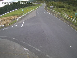 琴浦町三本杉