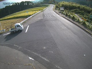 琴浦町三本杉