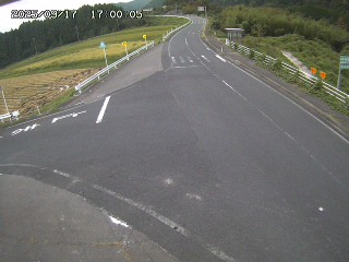 琴浦町三本杉