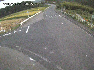 琴浦町三本杉