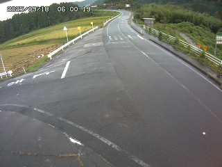 琴浦町三本杉