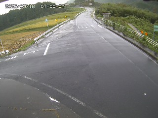 琴浦町三本杉
