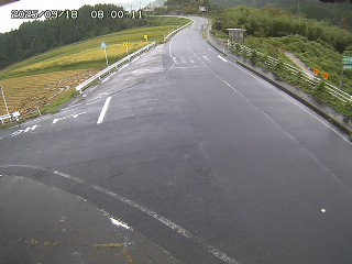 琴浦町三本杉