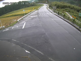 琴浦町三本杉