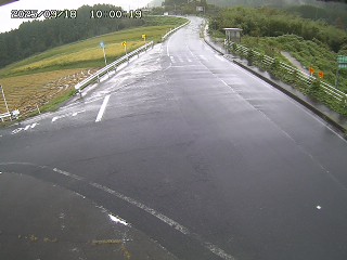 琴浦町三本杉