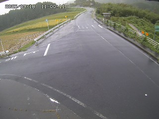 琴浦町三本杉