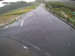 琴浦町三本杉