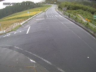 琴浦町三本杉