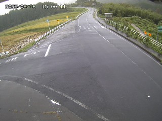 琴浦町三本杉