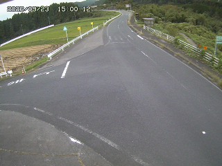 琴浦町三本杉