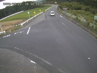 琴浦町三本杉