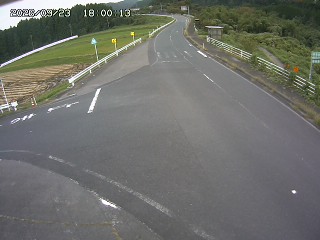 琴浦町三本杉