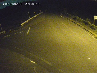 琴浦町三本杉