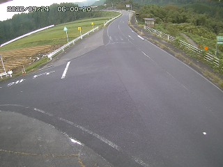 琴浦町三本杉