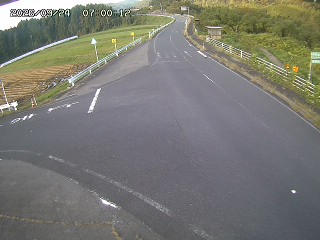 琴浦町三本杉
