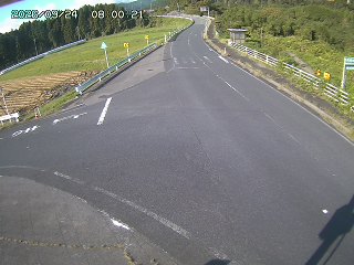 琴浦町三本杉