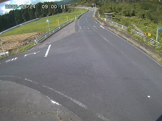 琴浦町三本杉