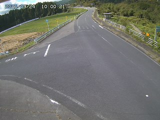 琴浦町三本杉