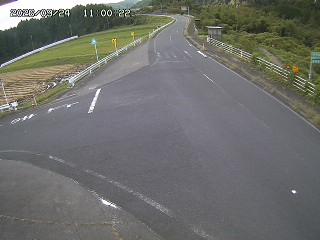 琴浦町三本杉