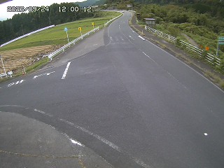 琴浦町三本杉
