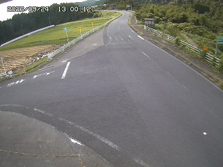 琴浦町三本杉